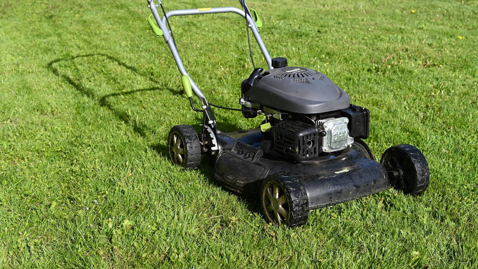 Detailaufnahme der neuen Rasenfläche