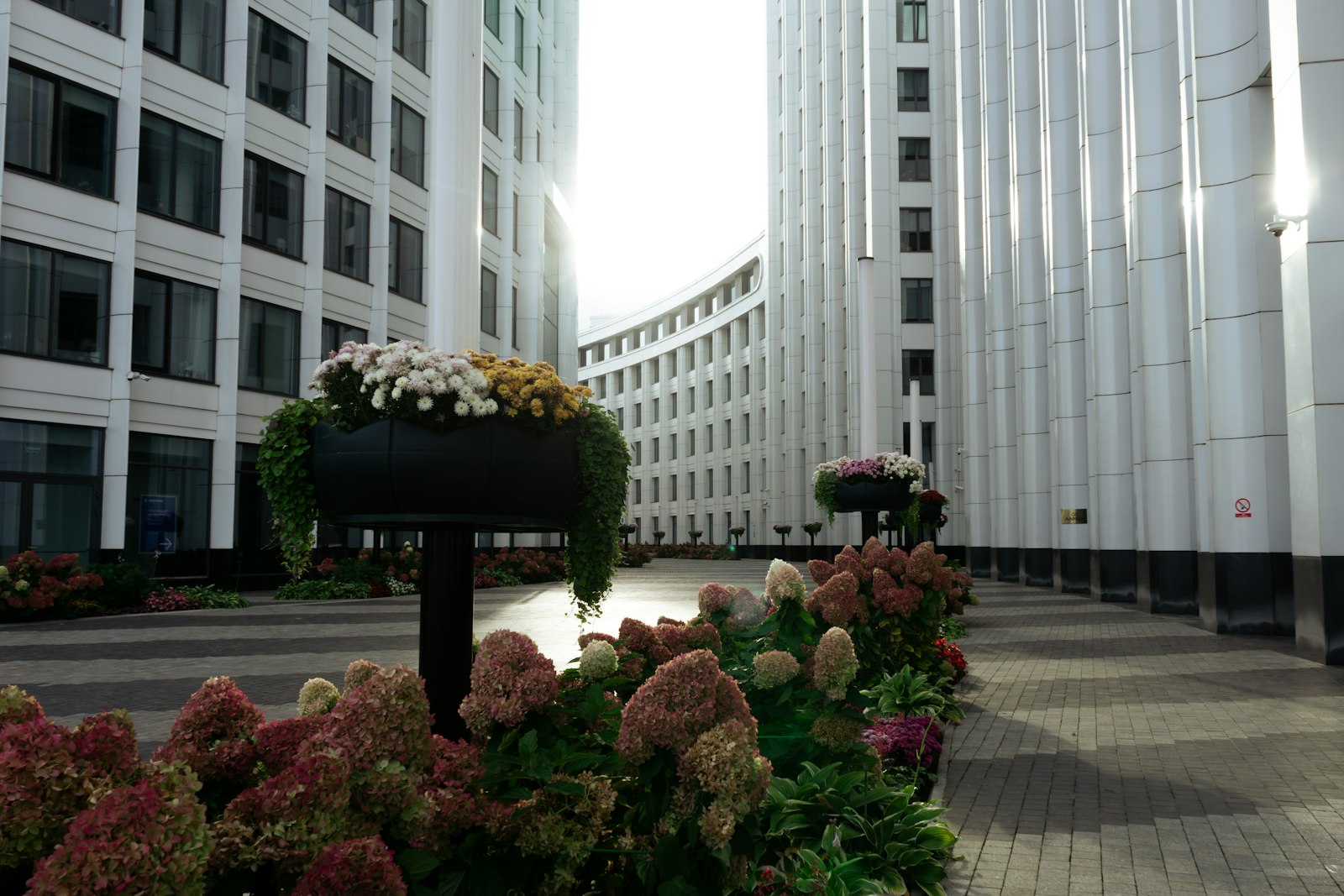 Bürogebäude mit gepflegter Grünanlage und Blumenkübeln